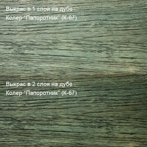 Колер Папоротник (К-67) 100мл