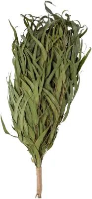 Веник для бани Woodson Премиум, эвкалипт с обмоткой