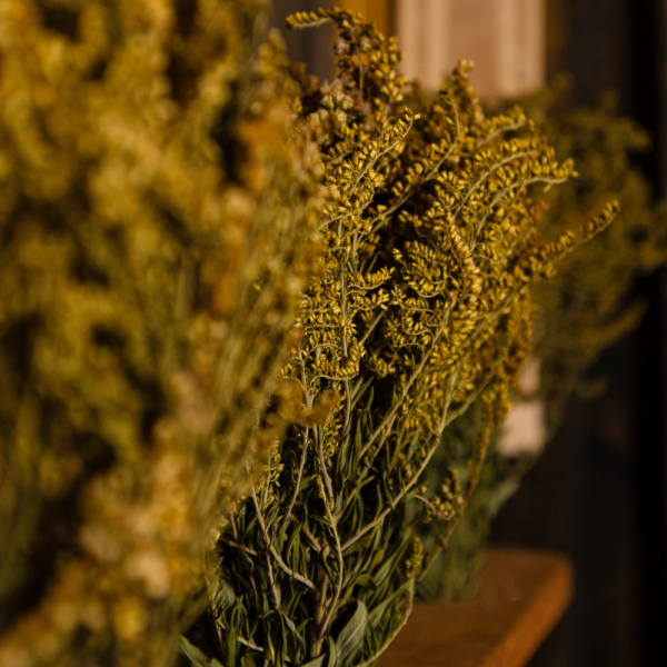 Травы для бани Woodson, золотарник